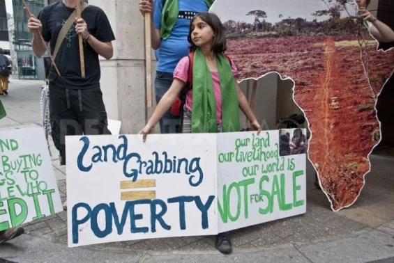 land grabbing.jpg