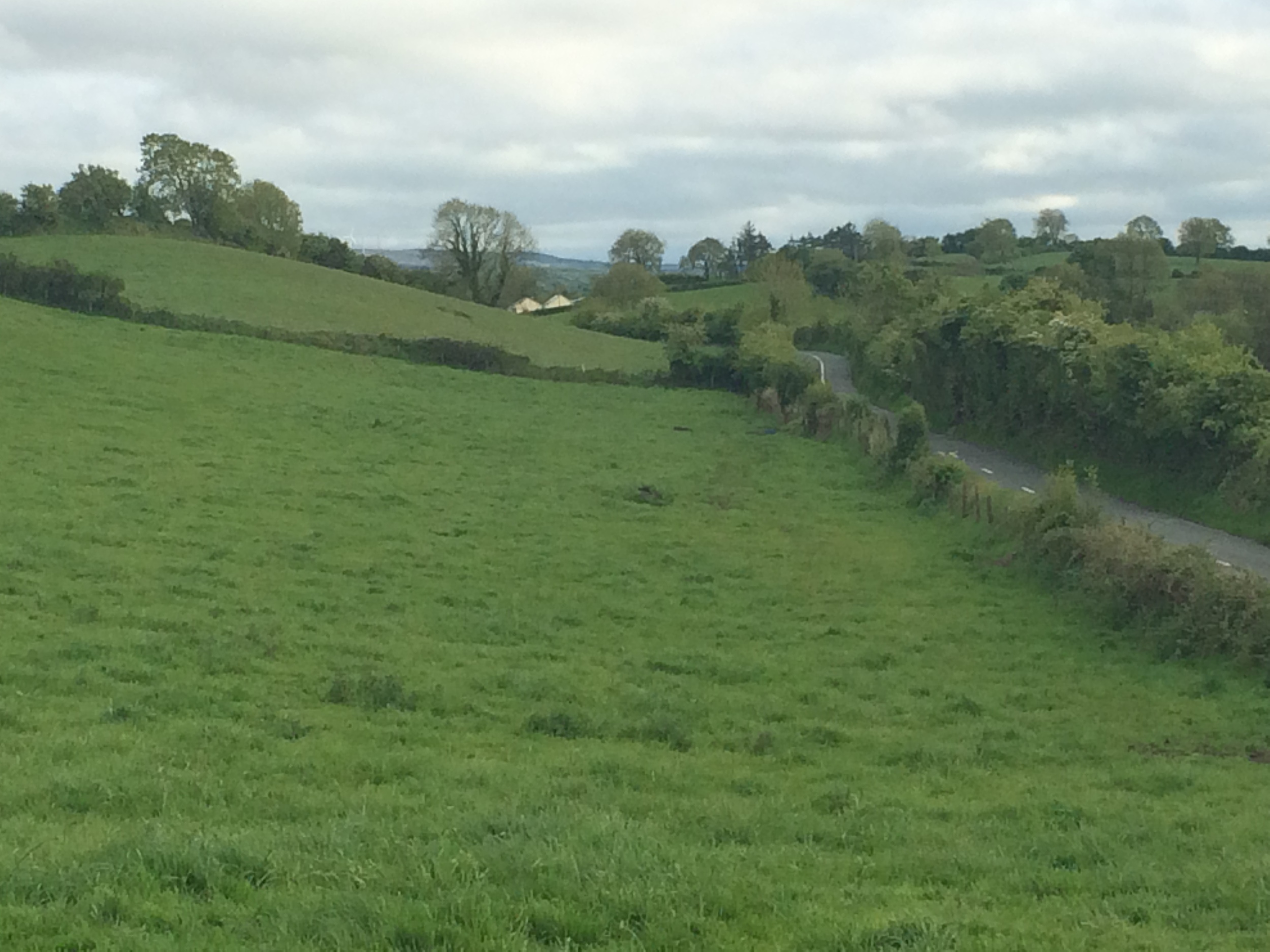 Driving through beautiful county mayo.