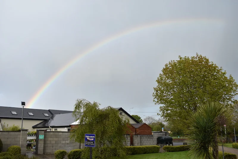 Rainbow 2 web.jpg