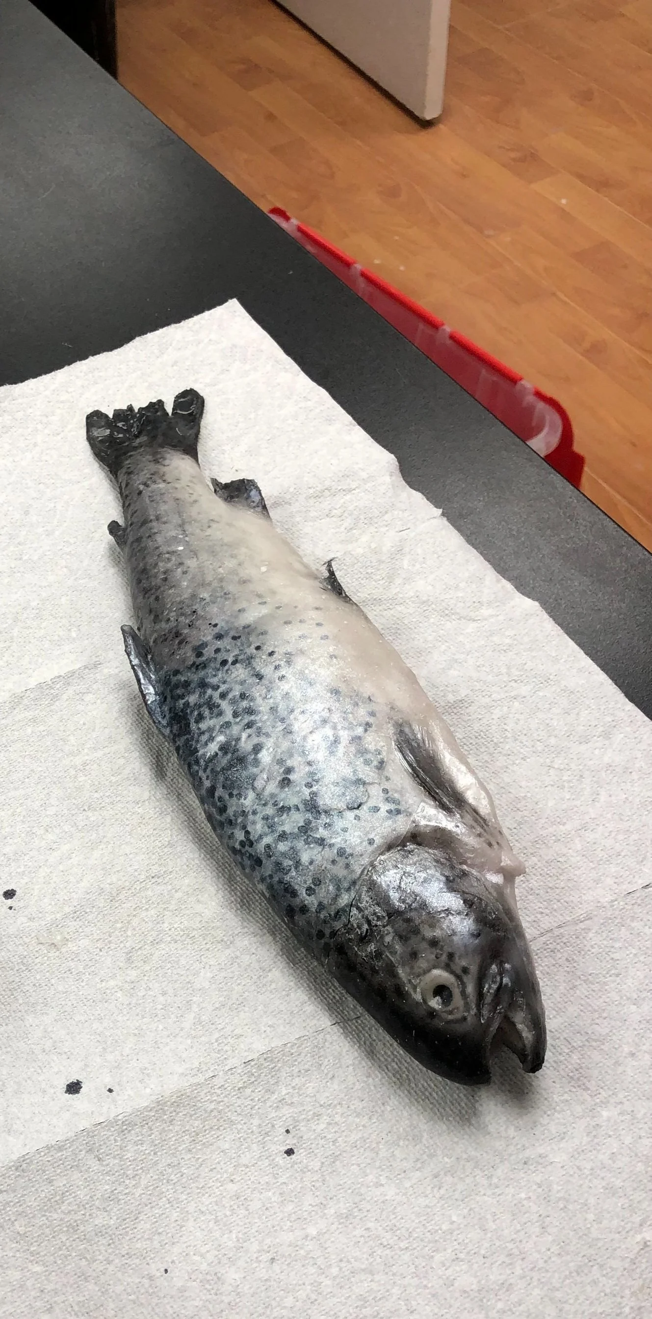 IMG_0162.jpg
