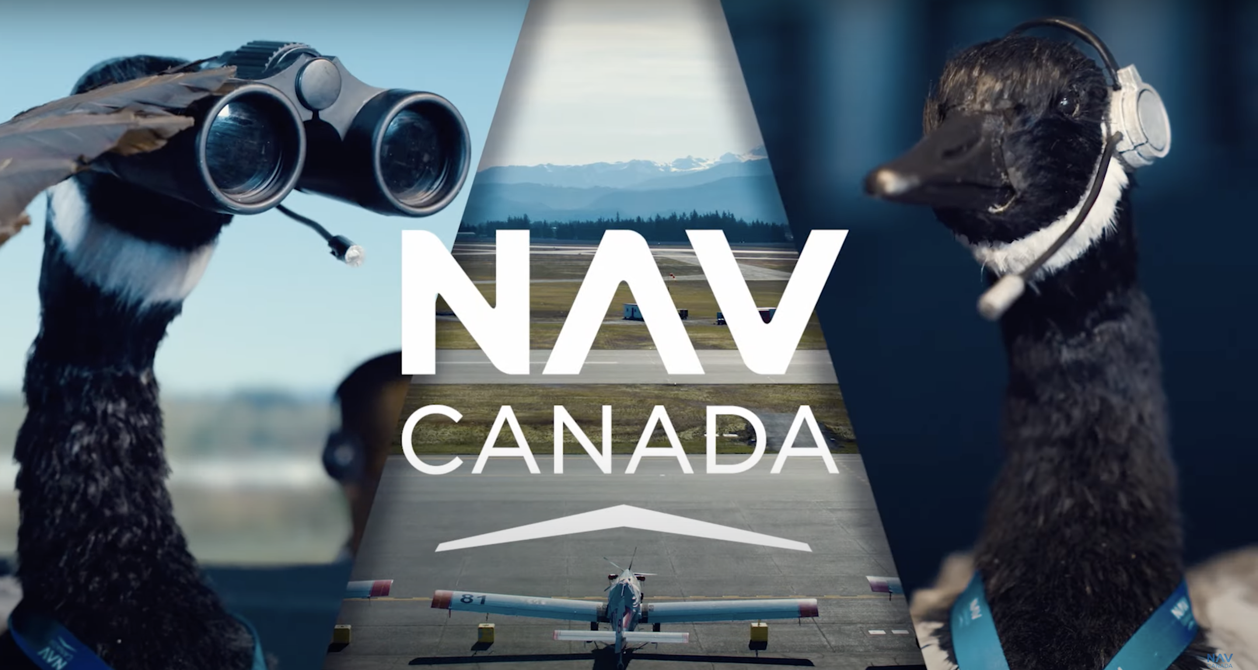 Screenshot 2024-06-11 at 11.29.46 AM.png