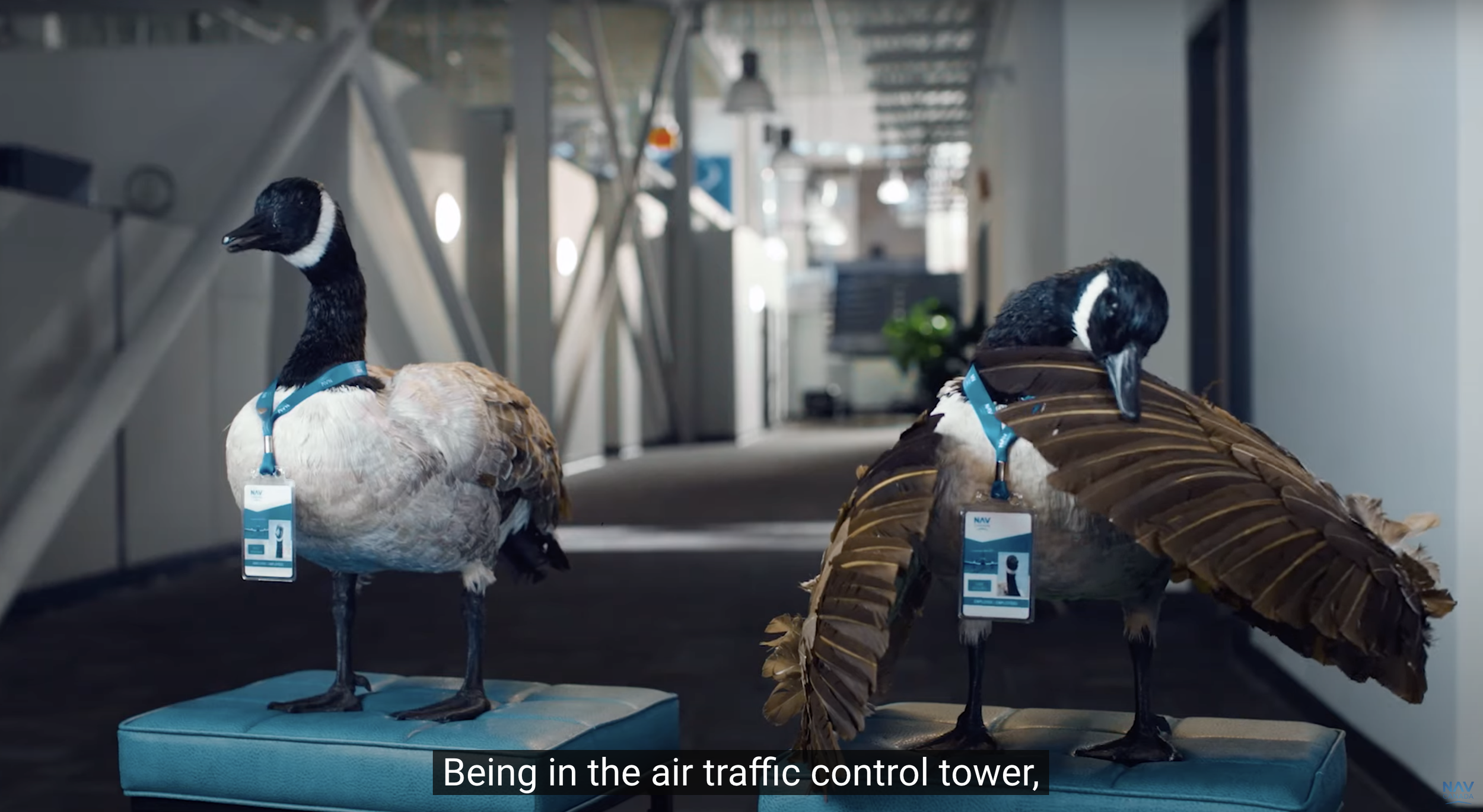 Screenshot 2024-06-11 at 11.30.09 AM.png