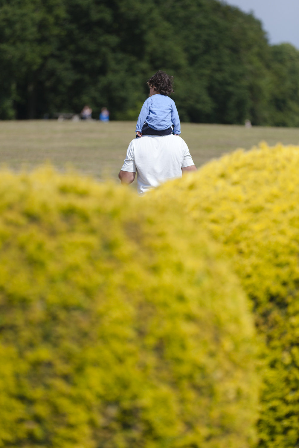 Polesden Lacey July 2013-97.jpg