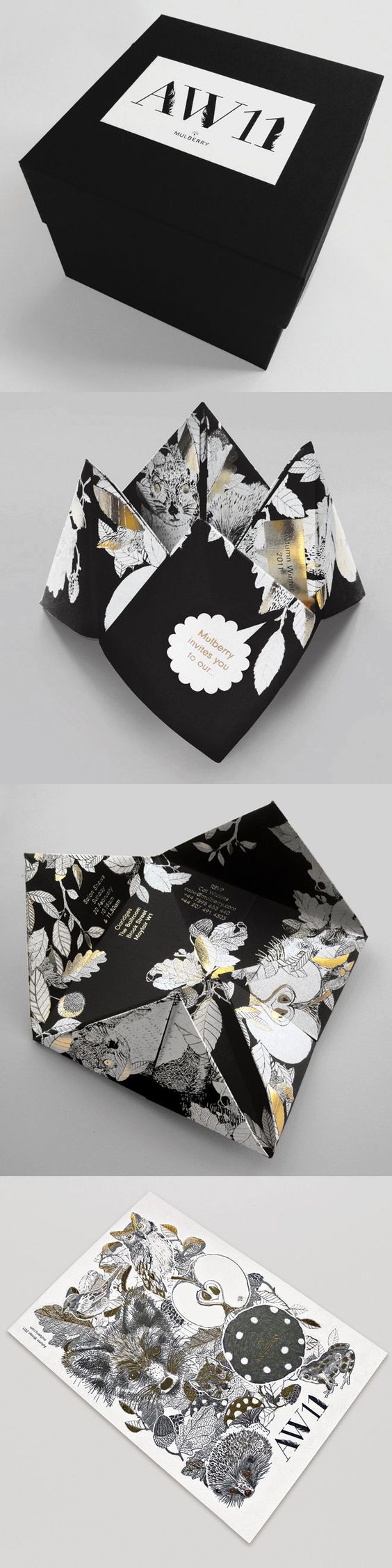 folded design in box.jpg