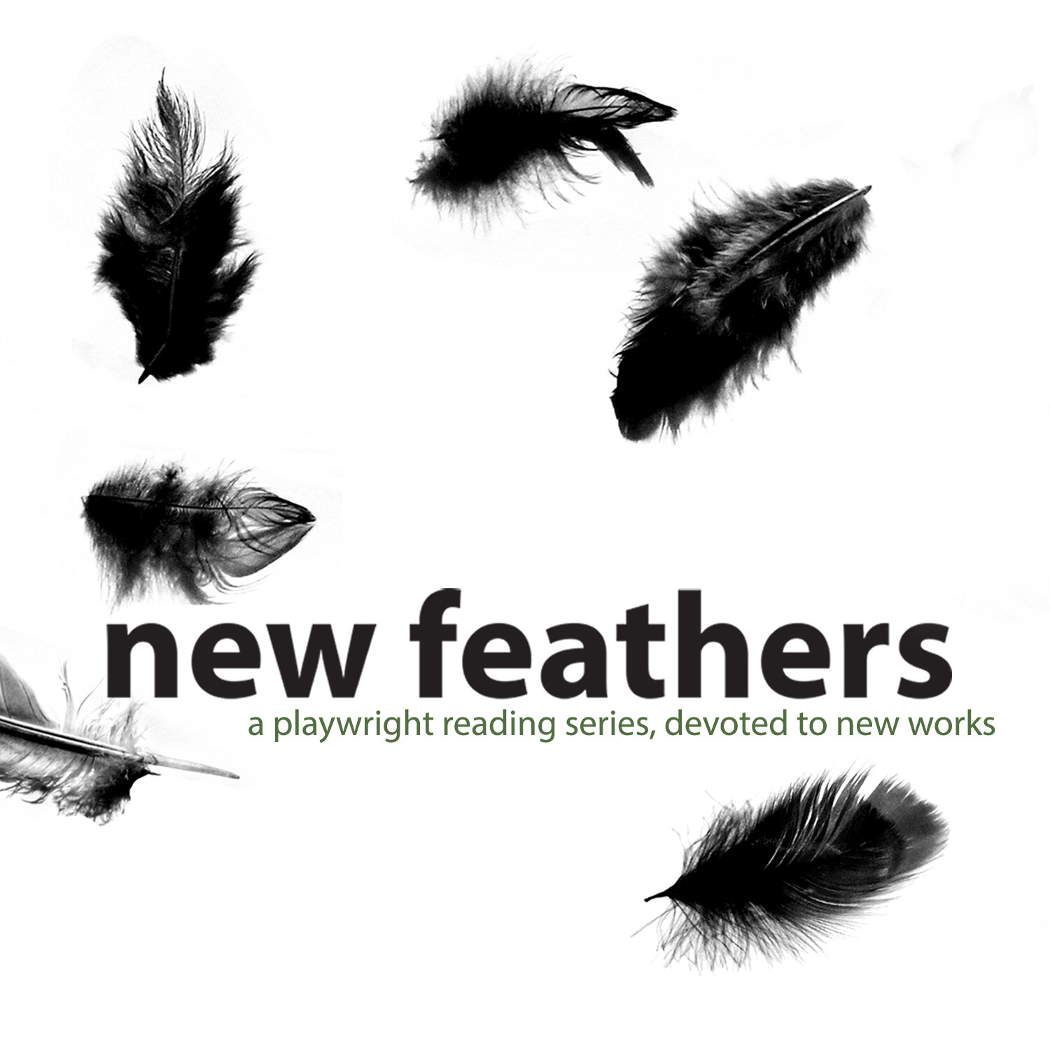 New Feathers no logo.jpg