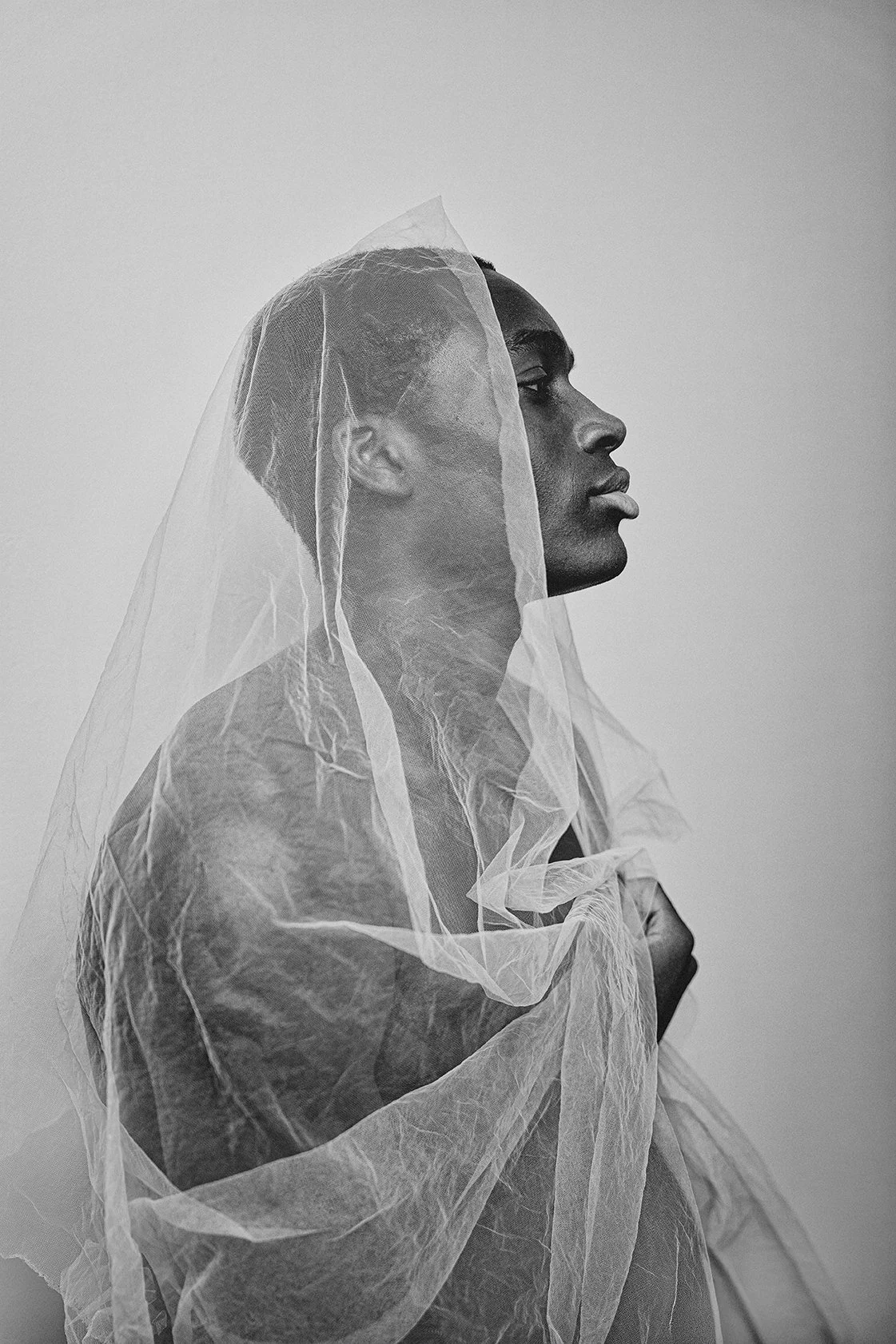 "Veil of Silence"