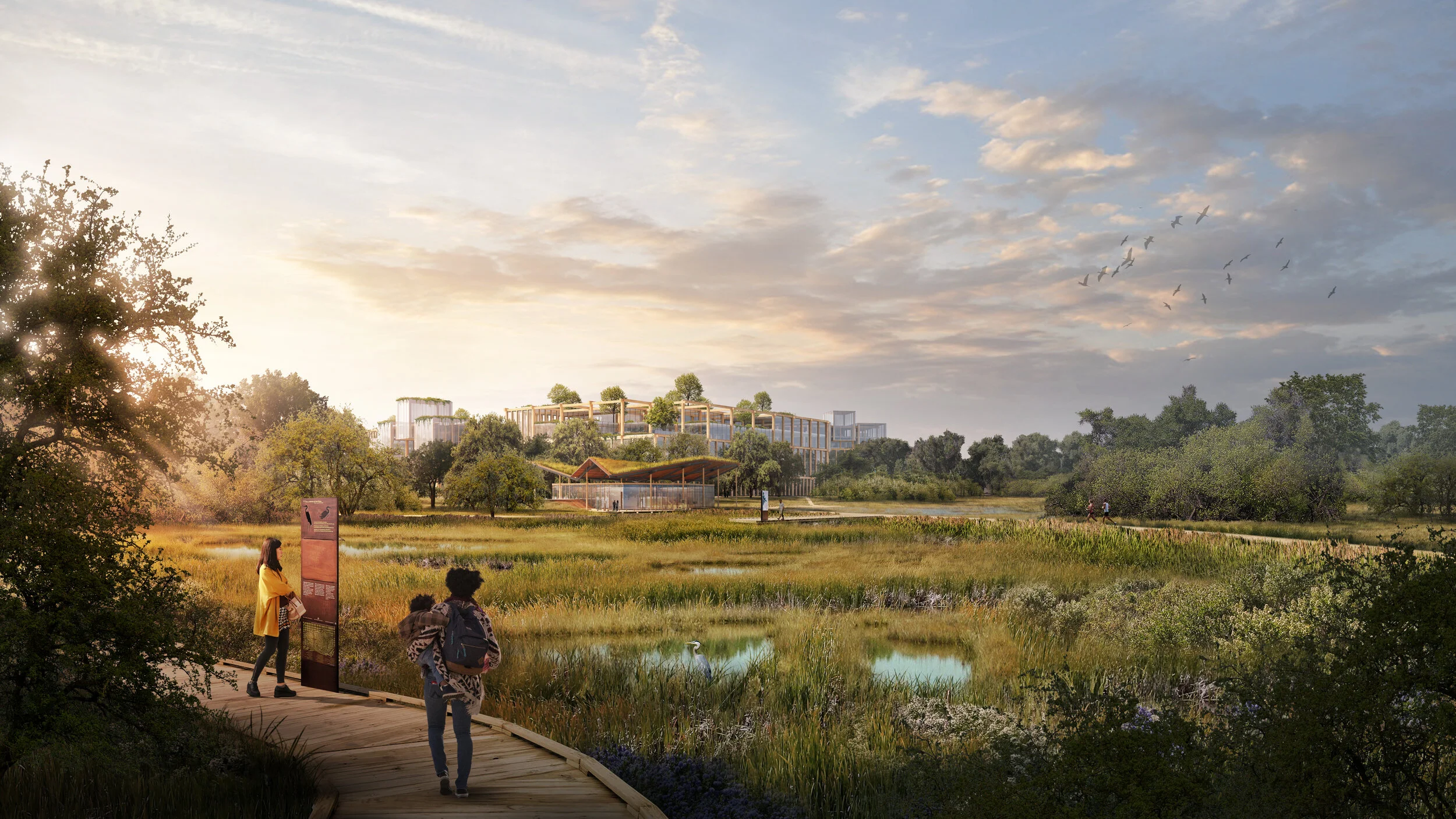 DD_Sitelab_LL_View04_Wetlands_2018_11_14 Xtra Trees.jpg