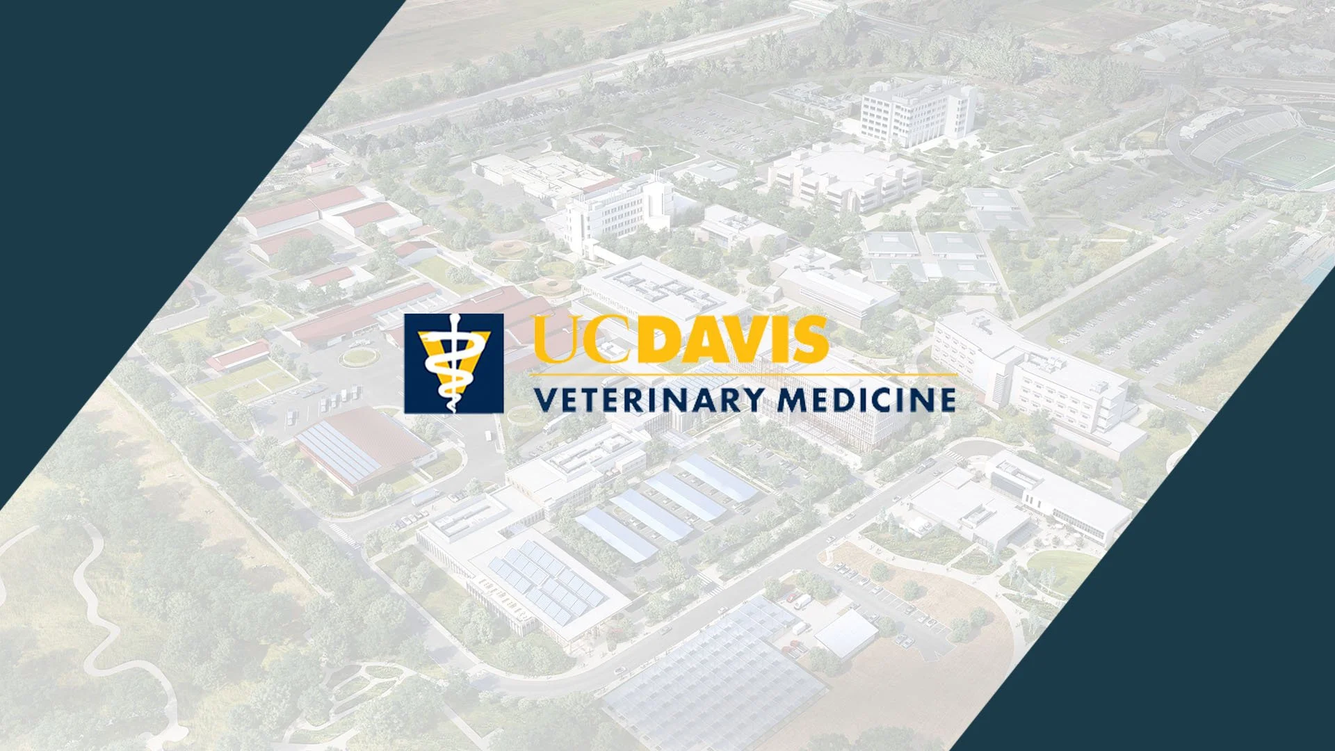 UC DAVIS  Veterinary Medical Complex