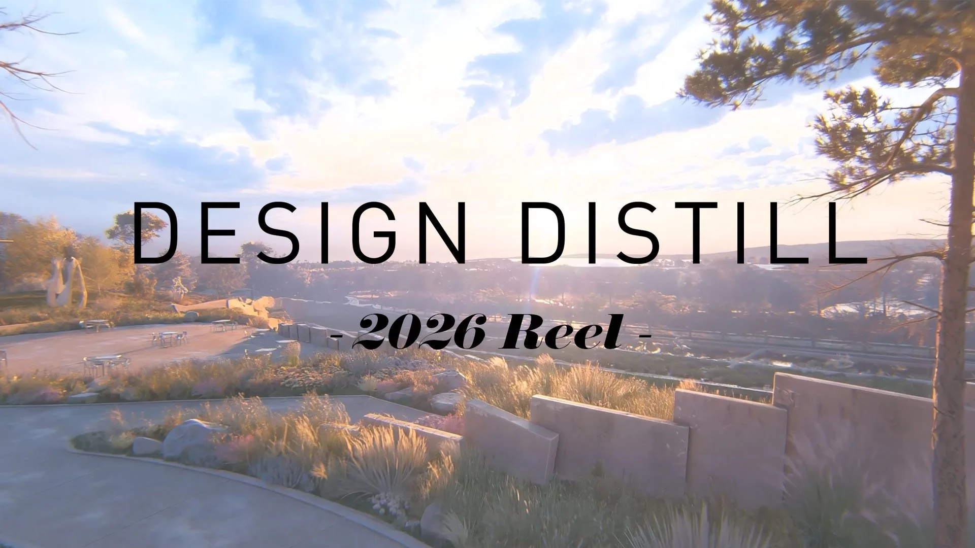 2026 DD REEL