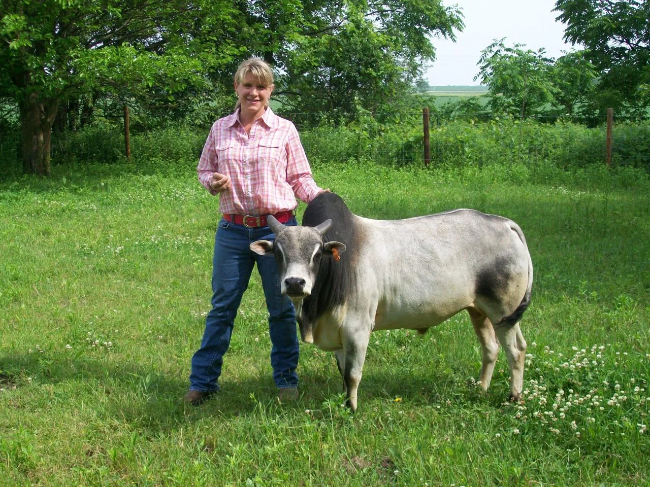 State Rep. Amy Loudenbeck. Given the title of this podcast, I thought I would show this picture of her with a miniature cow -- and provide absolutely no explanation for it. 