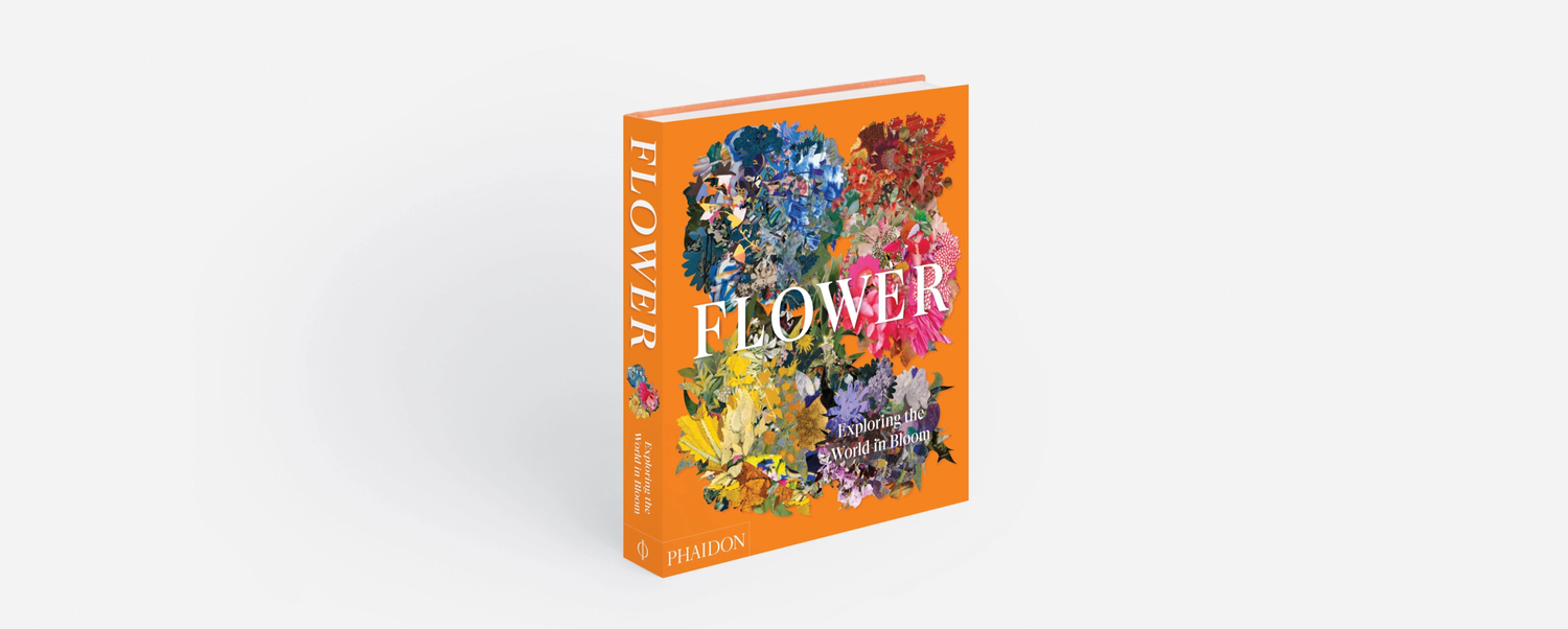 Say hello to Phaidon Press! — Abraham Associates