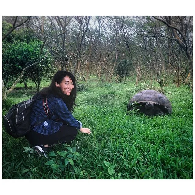 Not that I’m excited or anything #gianttortoise #hundredyearsold