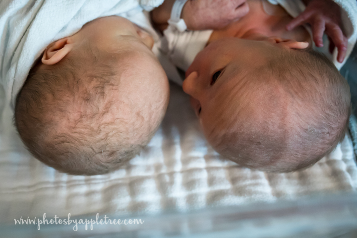 We also noted that Sterling wore a hat and under it his light hair seems to be a bit curly, Leo had a sleeper on under his blanket and his hair seems straight, and might be dark?