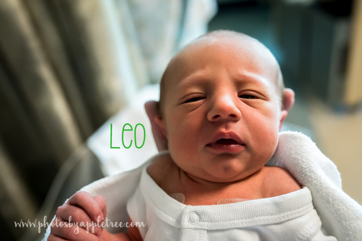 Leo: Has fuller lips, He has a dimple in his chin and a rounder face, His complexion is rosier and he was much sleepier when I was there.