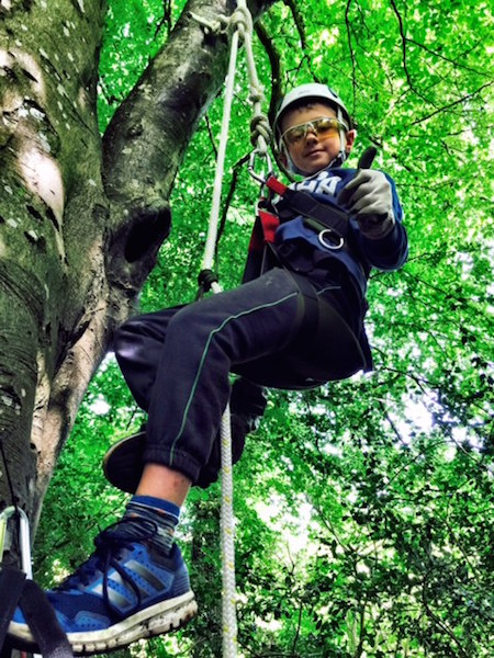 climbing up into the Beech tree for an amazing bird's eye view