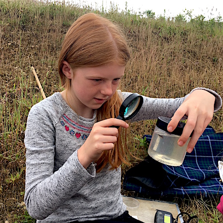 POND DIPPING - discover the weird and wonderful creatures which lurk beneath the depths of the pond.