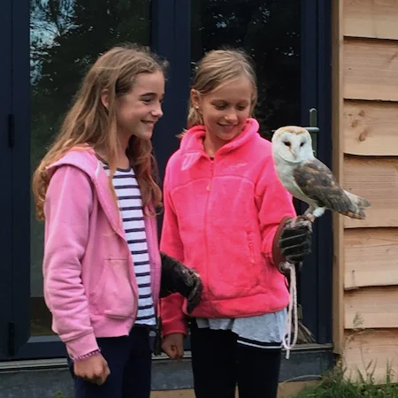 FALCONRY - We’re fortunate to have resident buzzards, tawny owls and barn owls who have made their home here. This is an opportunity to learn more about these beautiful birds, hold them and experience them in flight at close quarters.