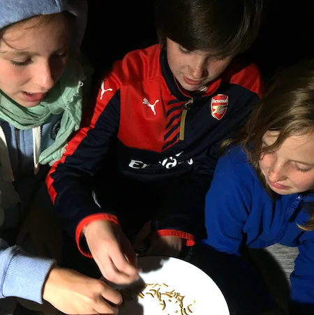 EDIBLE INSECTS - discover how edible insects could contribute to a sustainable food future and have the opportunity to try them for yourselves.