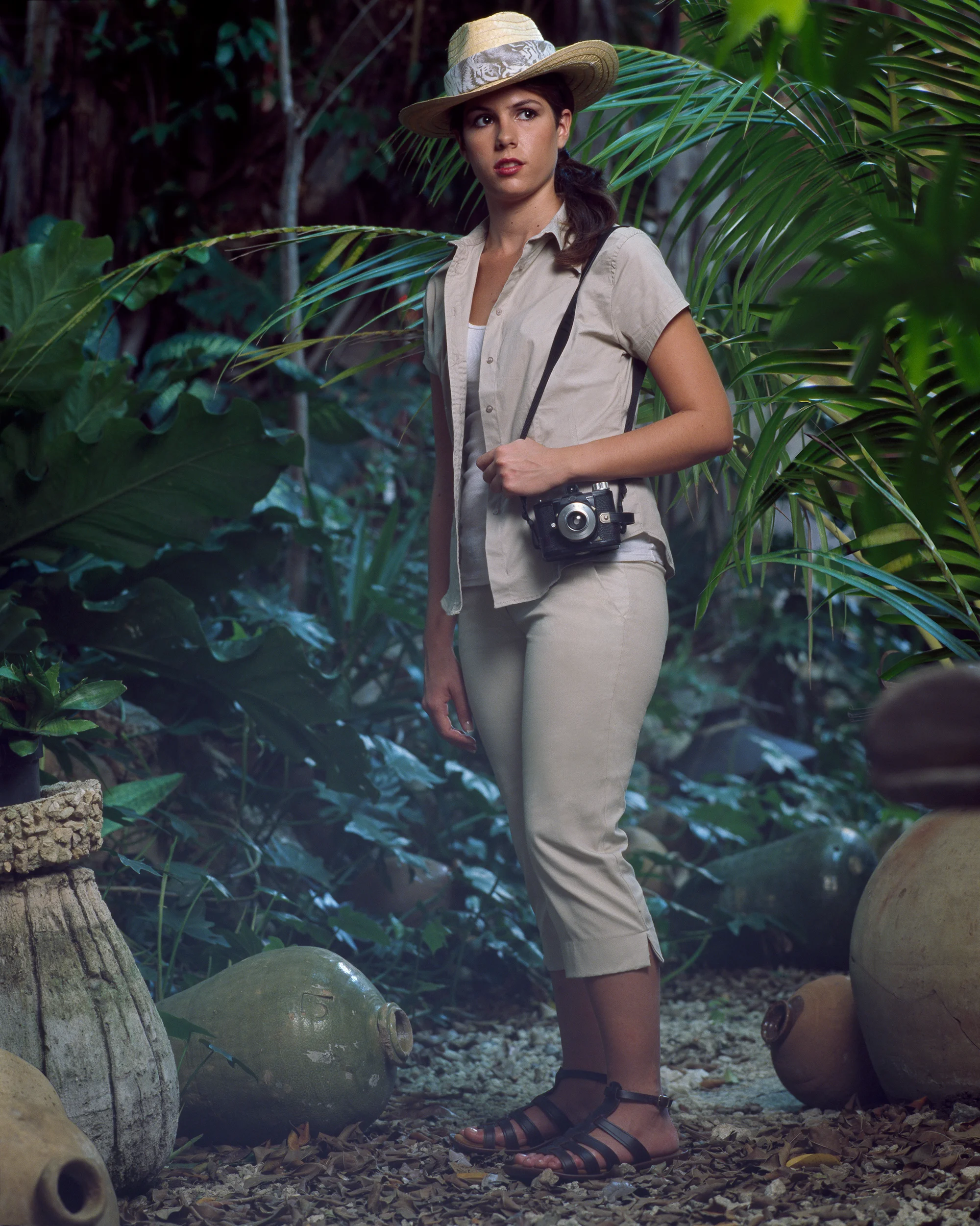 Jungle, 2007