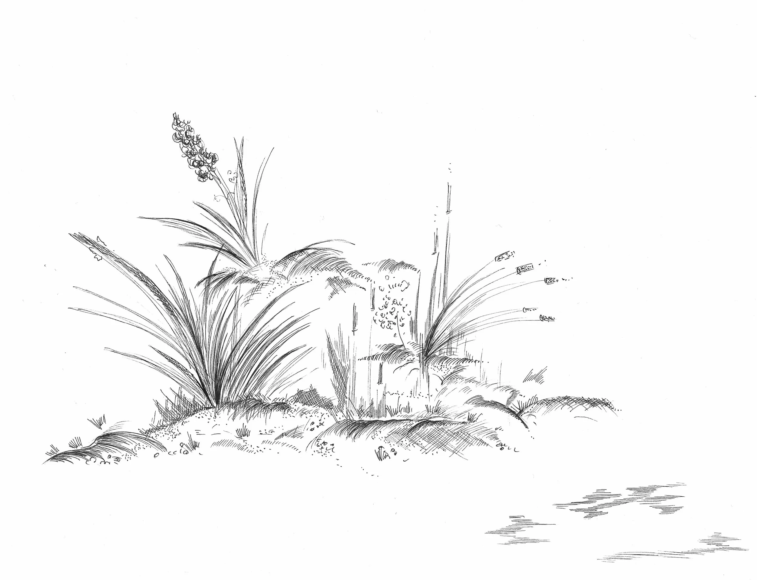 drawings web.jpg
