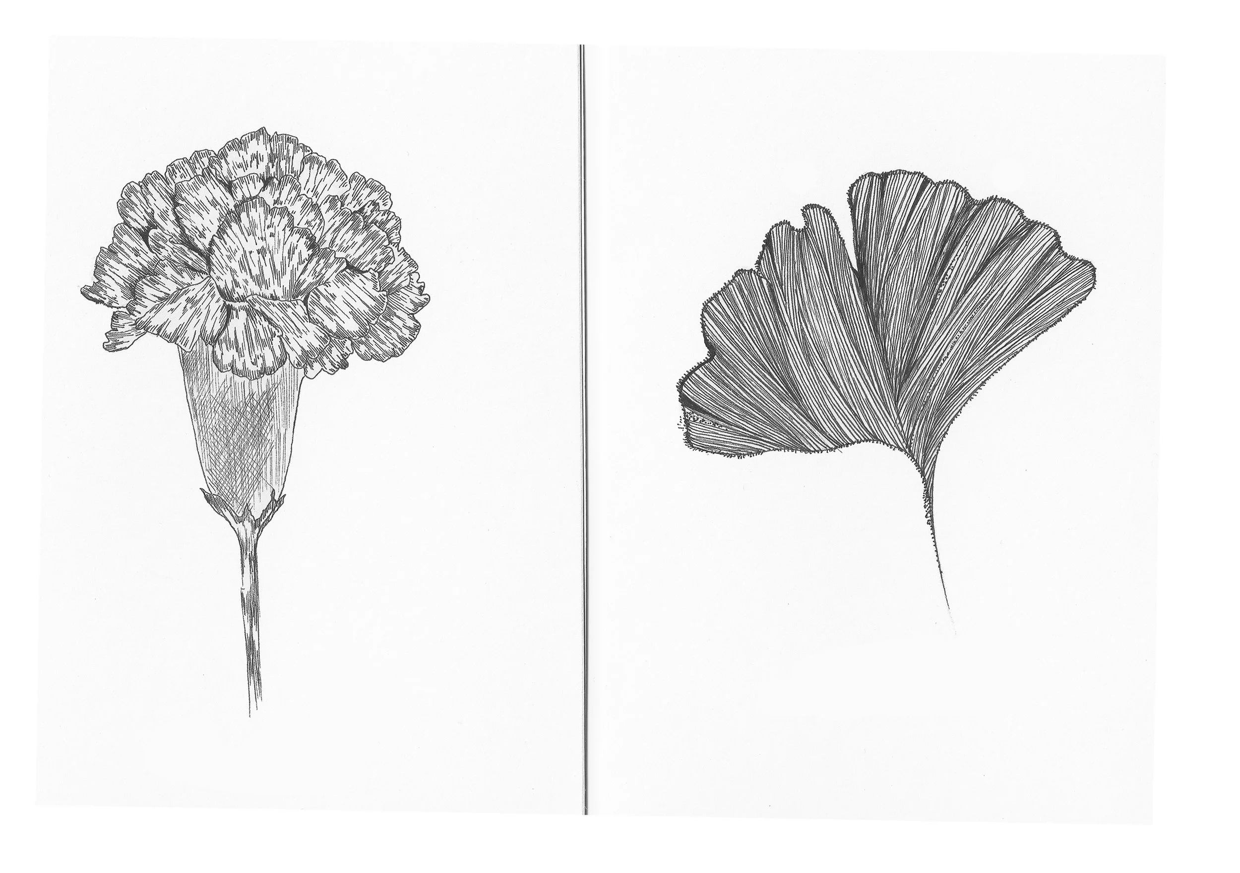 flowers.jpg