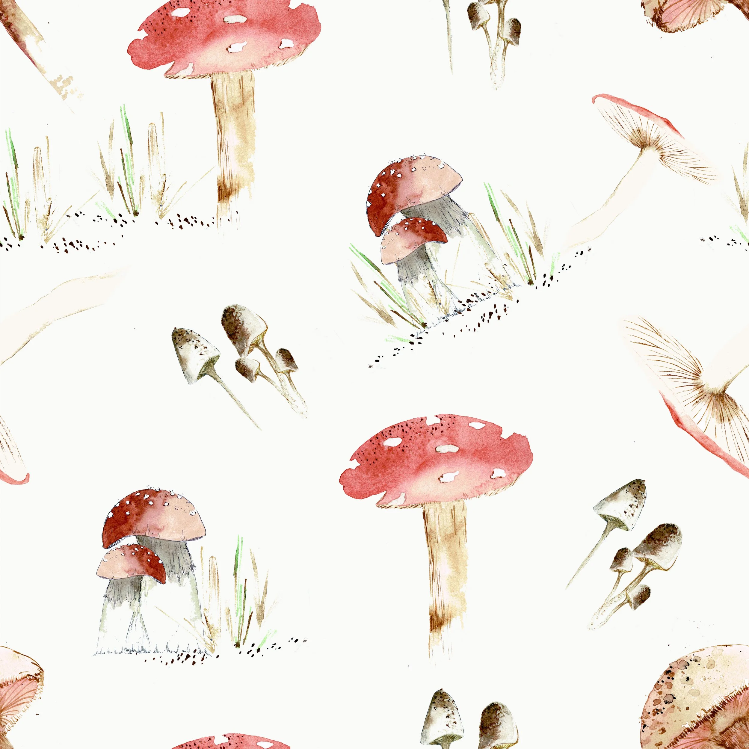 new mushroom darker .jpg