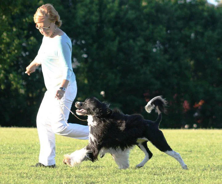 Annika-and-Inara-on-the-move-at-the-WDS.jpg