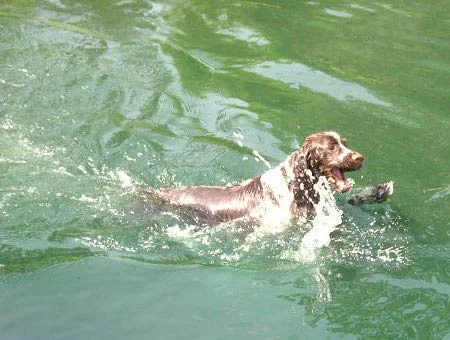 Cooper-pond1.jpg