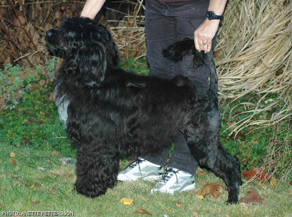 CoCo-at-14-months.jpg