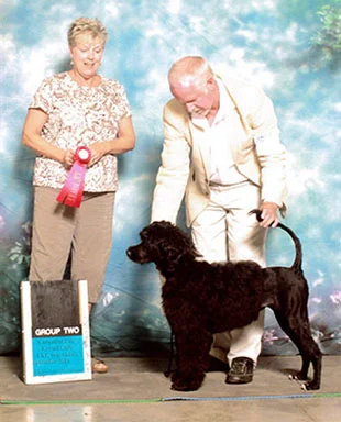 Crickett-Group-II-photo.jpg