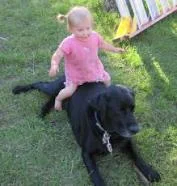 The Kids are Alright