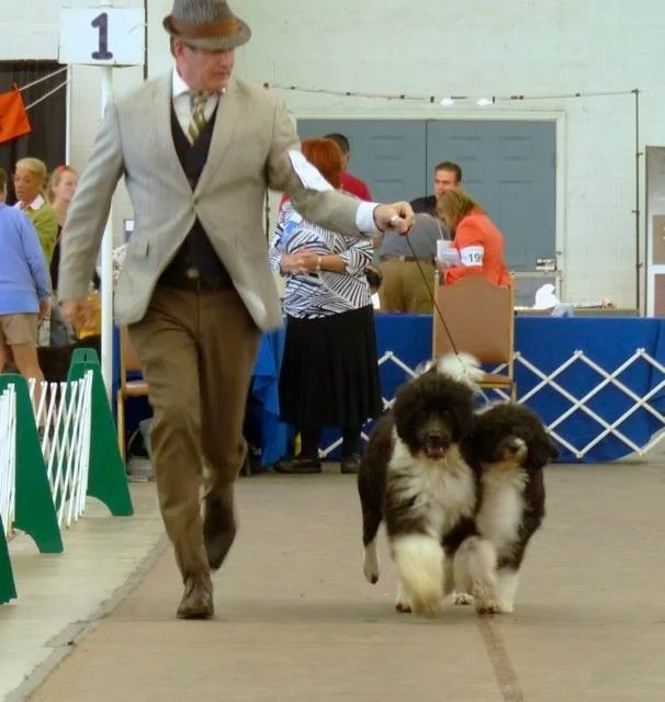 2014 PWD Nationals -  Brace Class 2nd Place