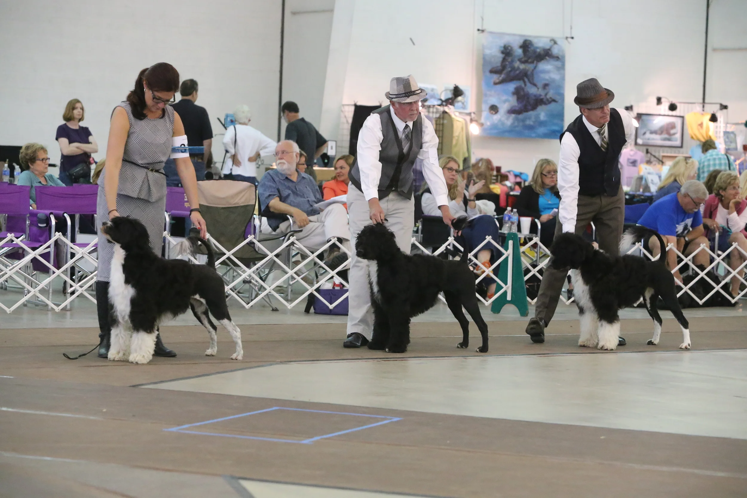 2014 PWD Nationals Brood Bitch Class