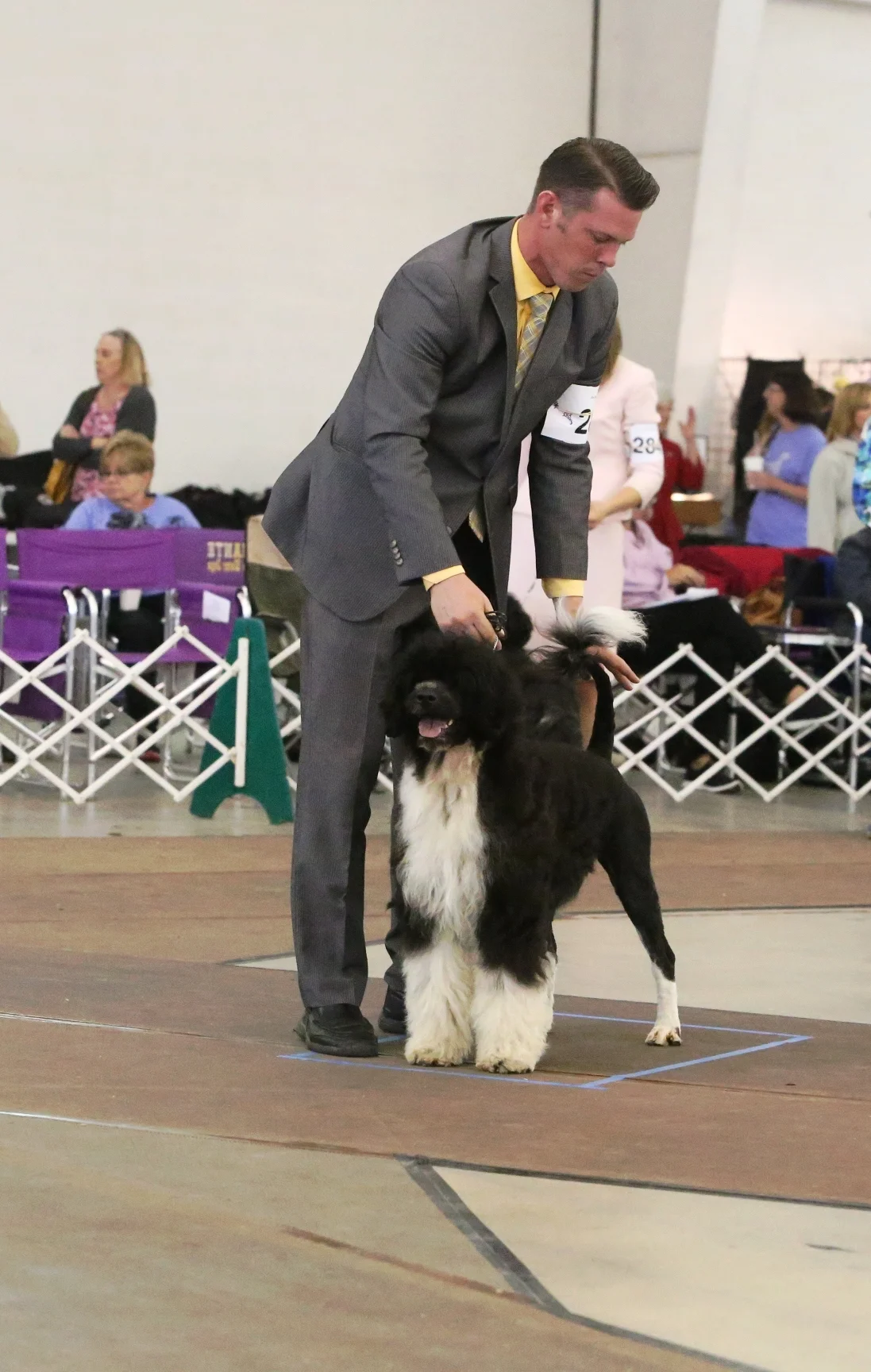 2014 PWD Nationals Open Class