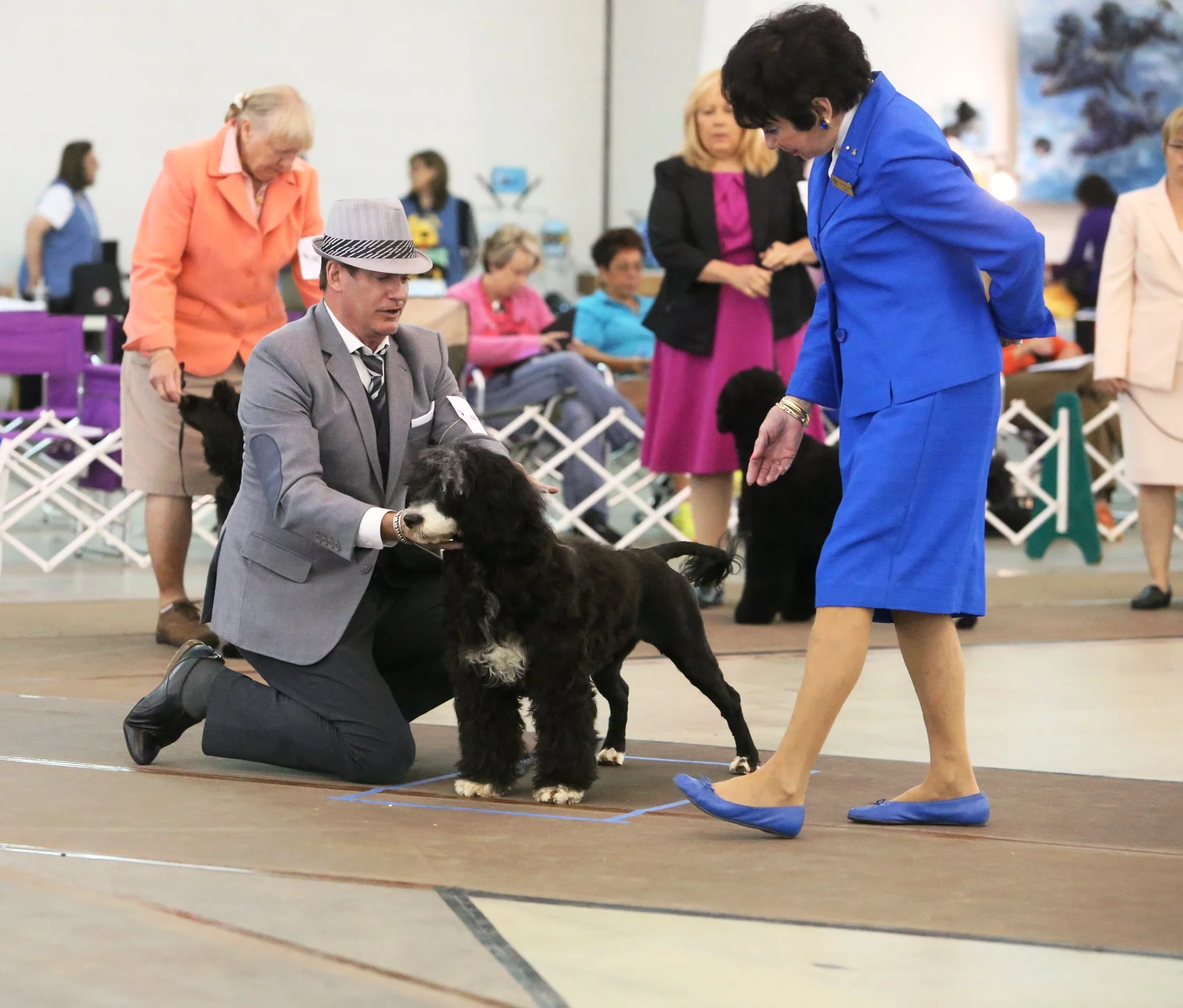 2014 PWD Nationals 9-12 Class 