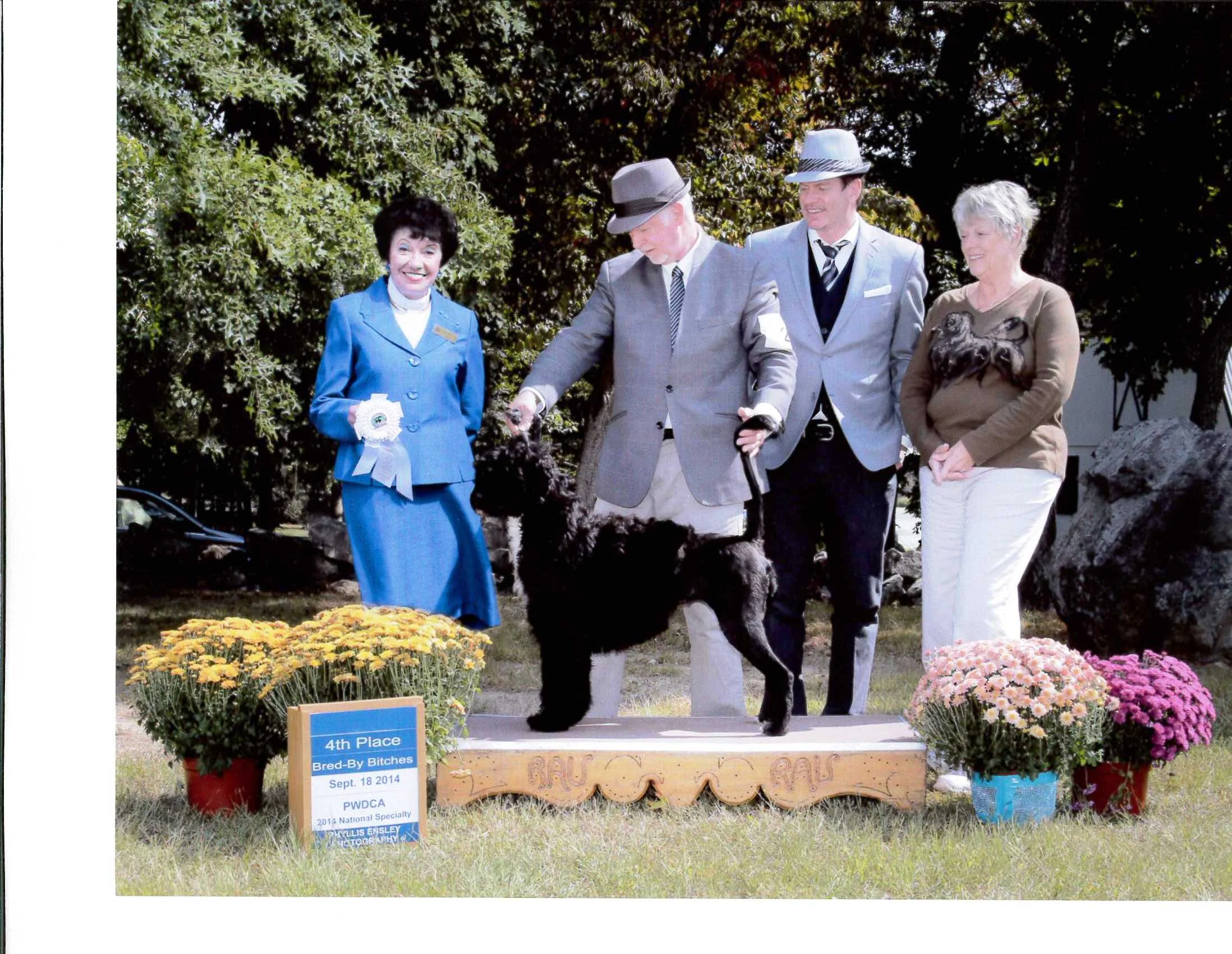 2014 PWD Nationals - Bred By Exhibitor Class- 4th Place