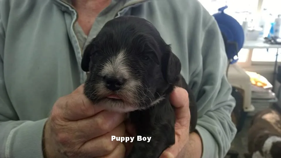 Boy 2 Weeks.jpg