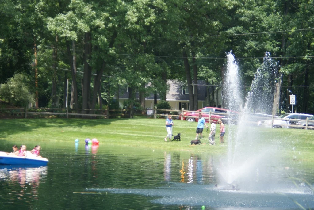 PWD FUN IN THE SUN-PICNIC