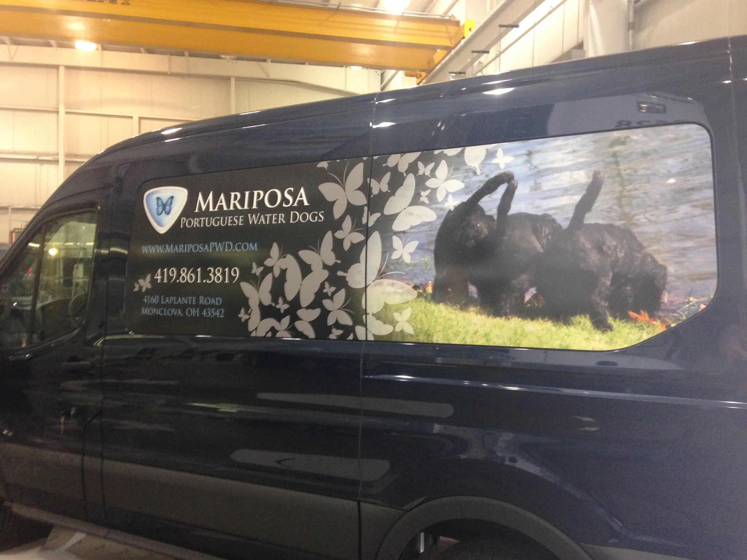 New Mariposa Ford Transit Van