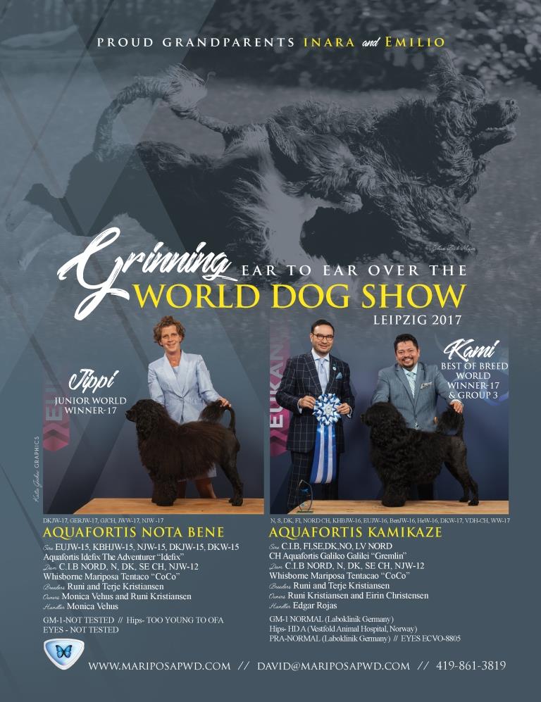 World Dog Show Leipzig 2017