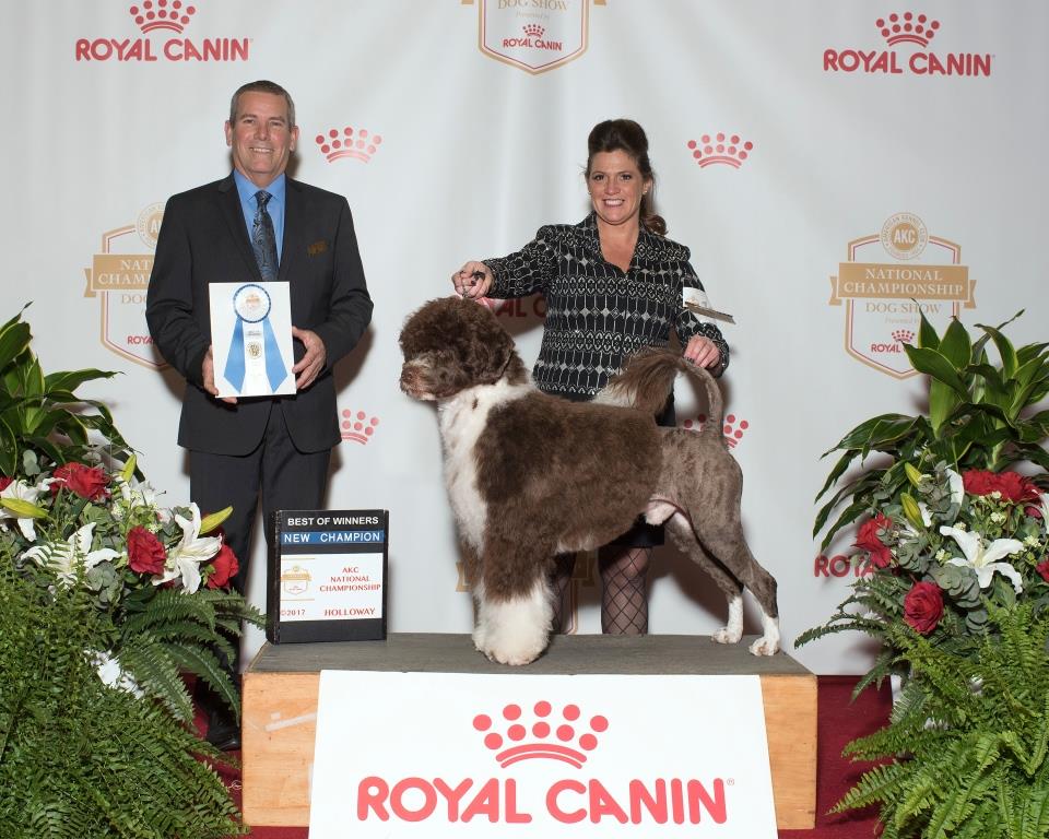 Champion photo winning AKC Nationals WD and BOW