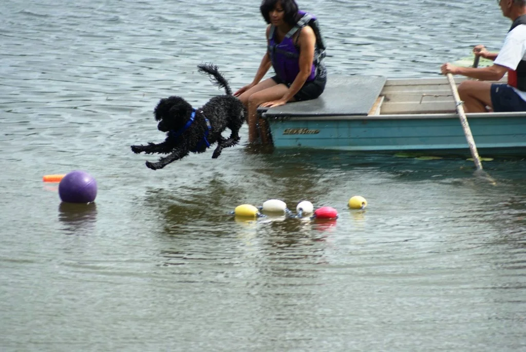 Mariposa Foundation Land Training for Water Trial Events