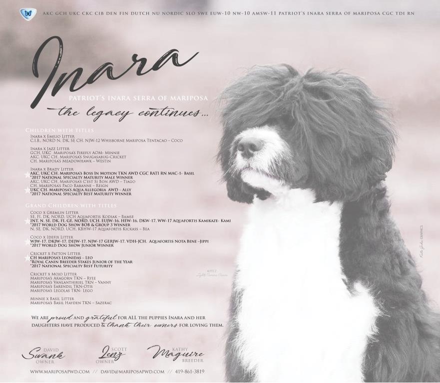 Copy of Swank-InaraNEW.jpg