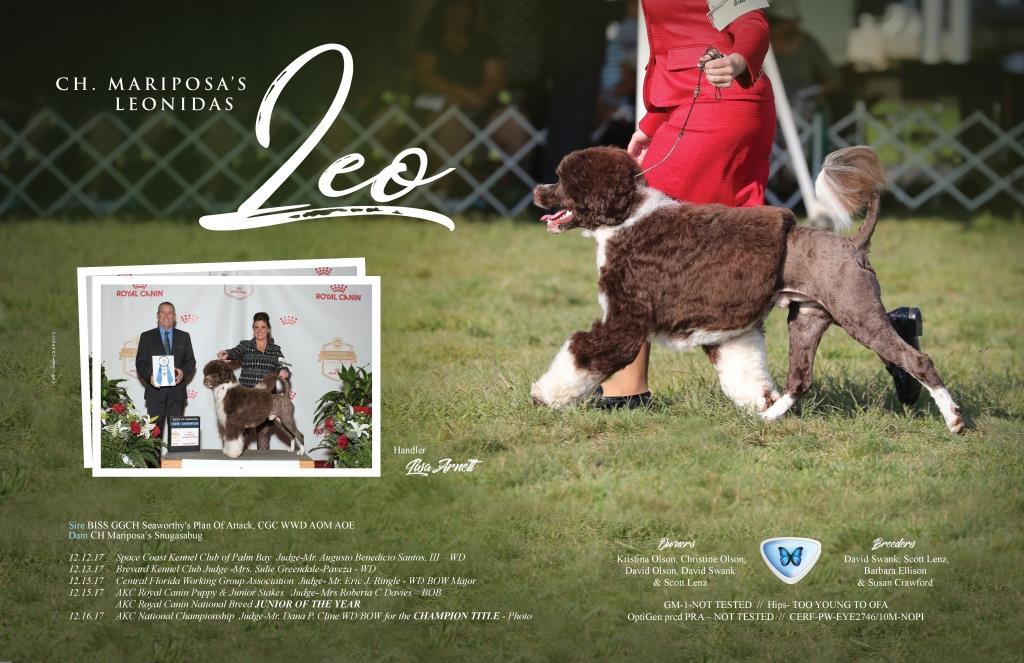 Copy of Leo at RC and AKC Nationals ad.jpg