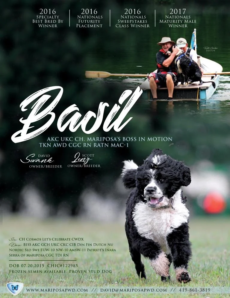 Copy of Basil-Swank-Online2018.jpg