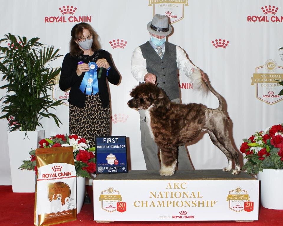 Copy of 2020 AKC Nationals BBE.JPG