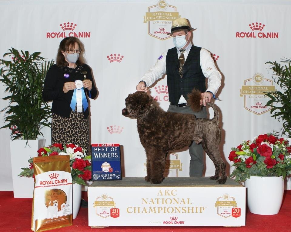 Copy of 2020 AKC Nationals BW.JPG