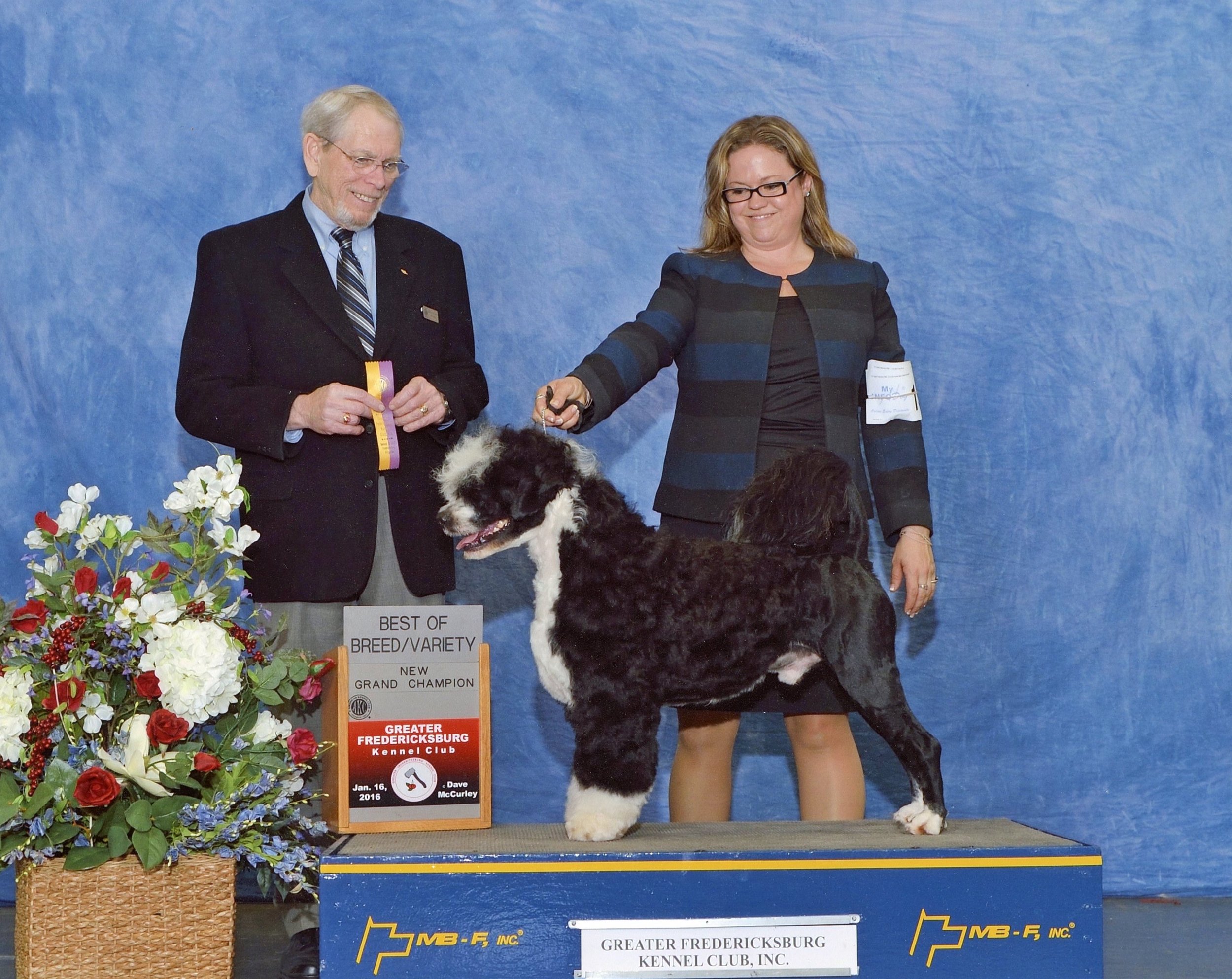 SEAMUS Grand Champion Photo.jpg