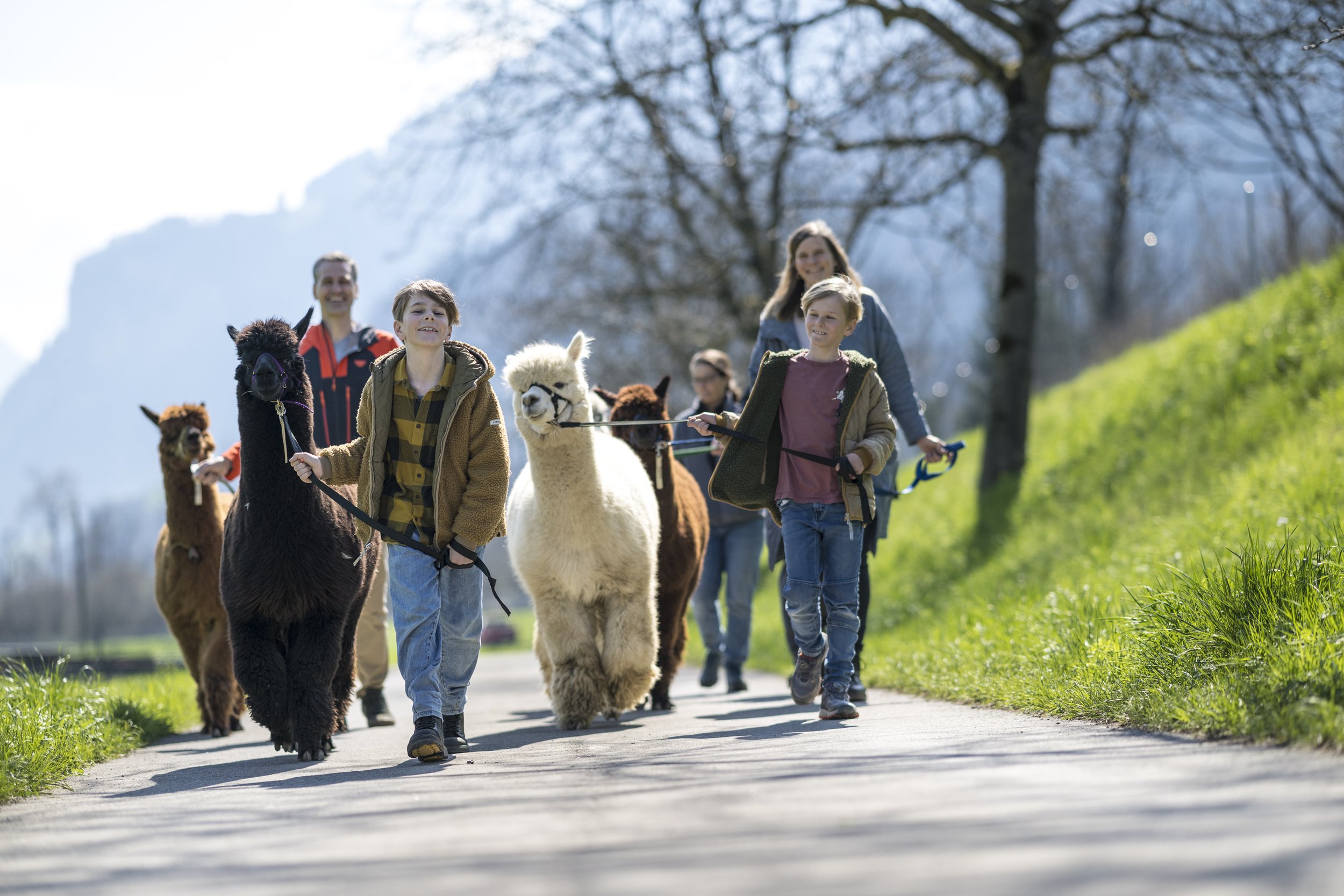 ALPAKA TREKKING OBERDORF-STANS