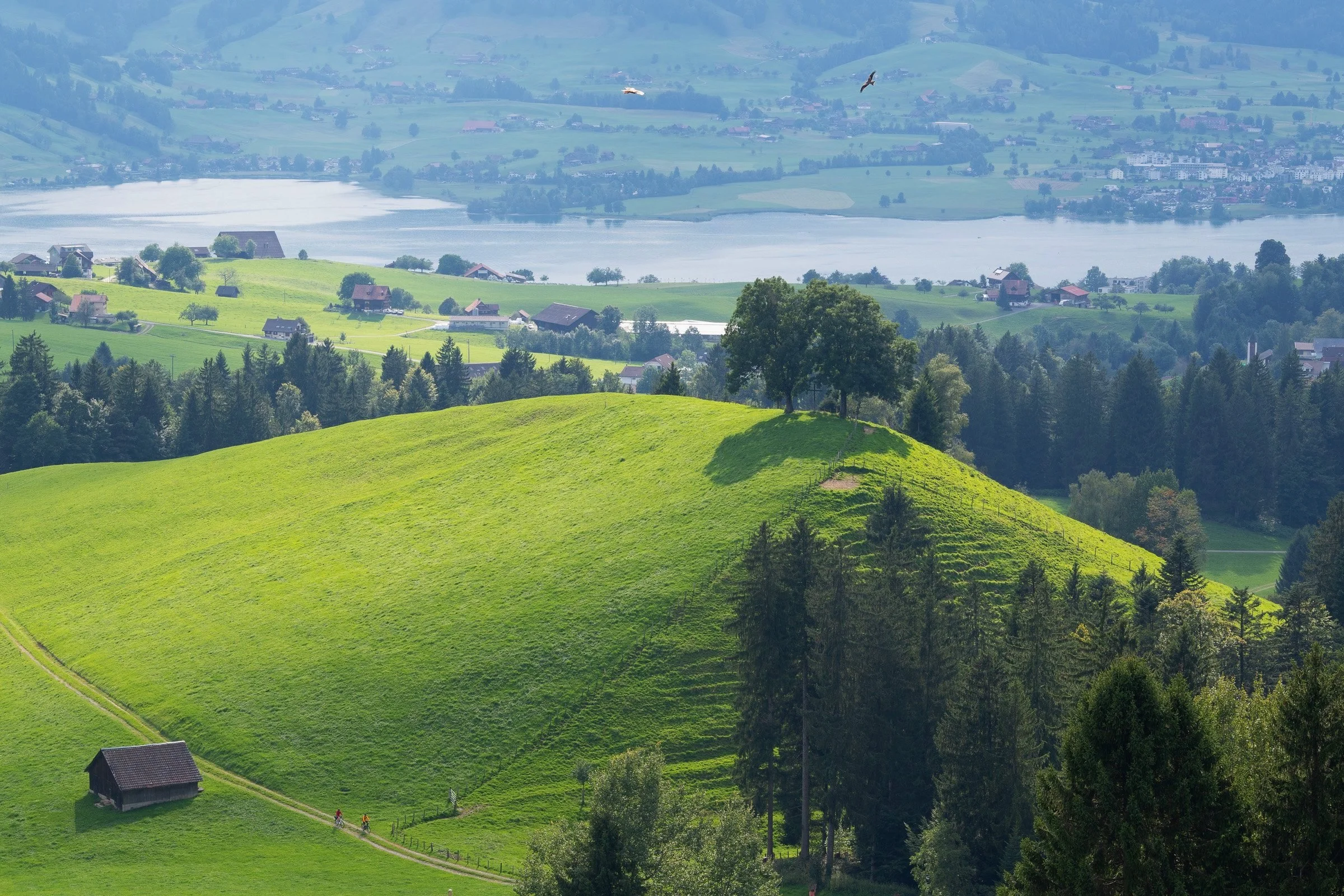 SHOOTING FLYER BIKES RATENPASS